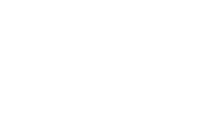 ICAS Member Firm